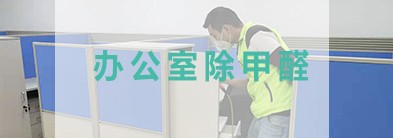 办公室除甲醛